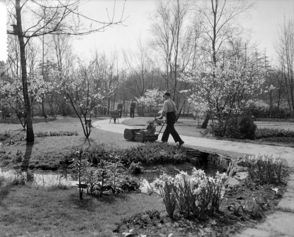 Keukenhof geopend (niet officieel), Bestanddeelnr 908-4320