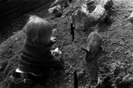 Kinderen spelen met konijnen in de dierentuin, Bestanddeelnr 925-6542
