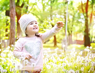 Nature spring grass photo