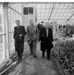 Keukenhof bezoek kamerleden, Bestanddeelnr 904-5341
