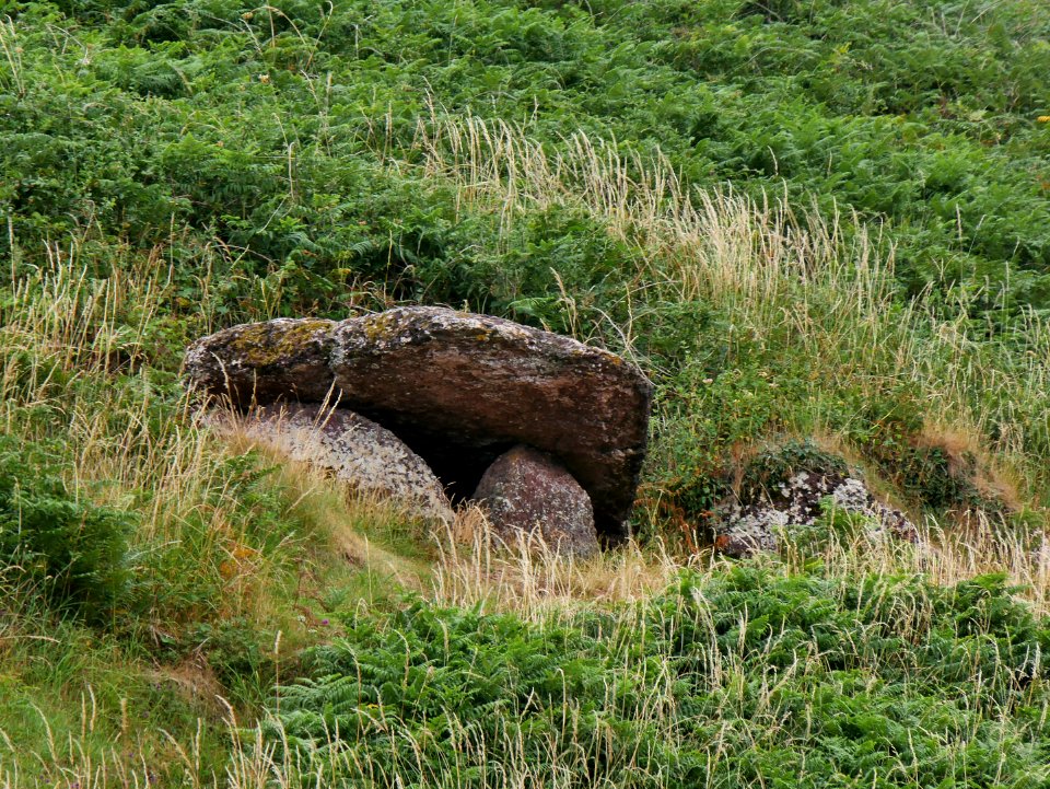 KingsQuoitH1aFB