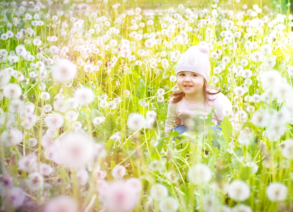 Nature spring grass