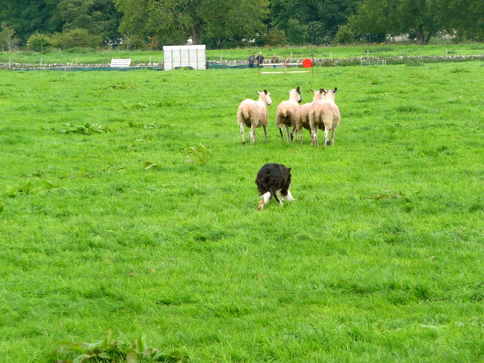 Kilnsey Show 28