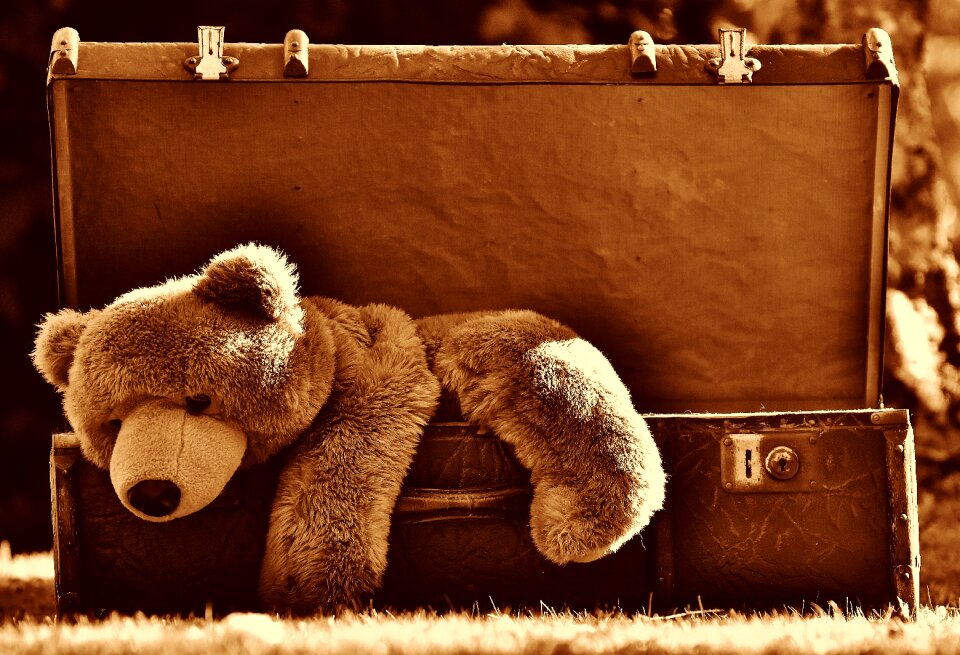 Sepia soft toy stuffed animal