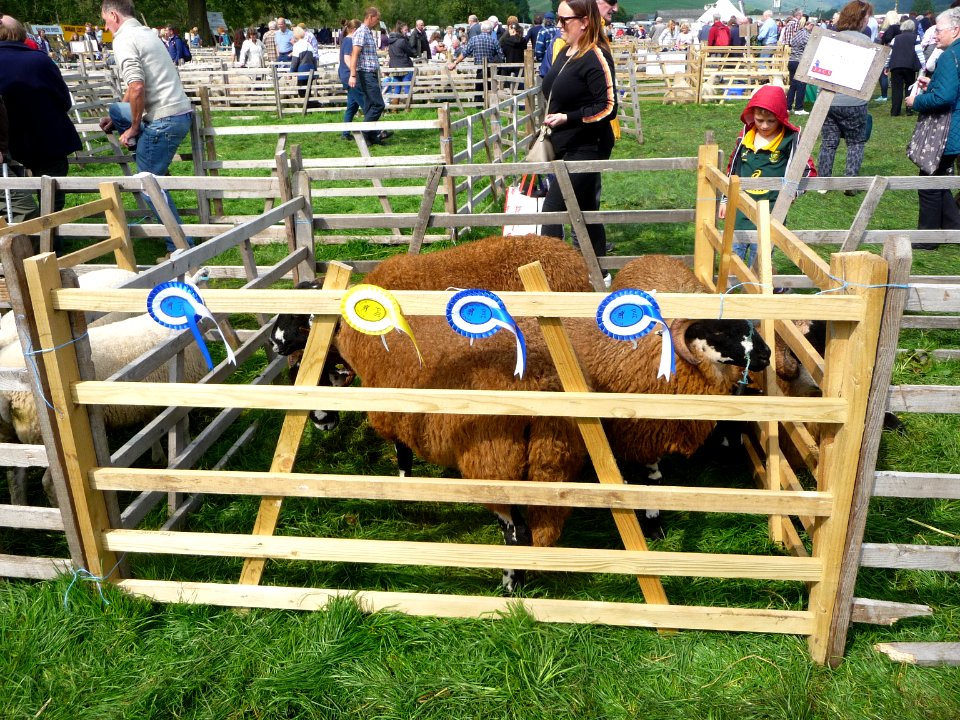 Kilnsey Show 37