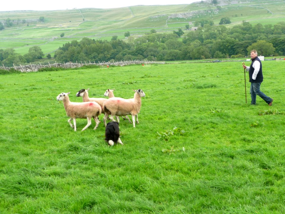 Kilnsey Show 30