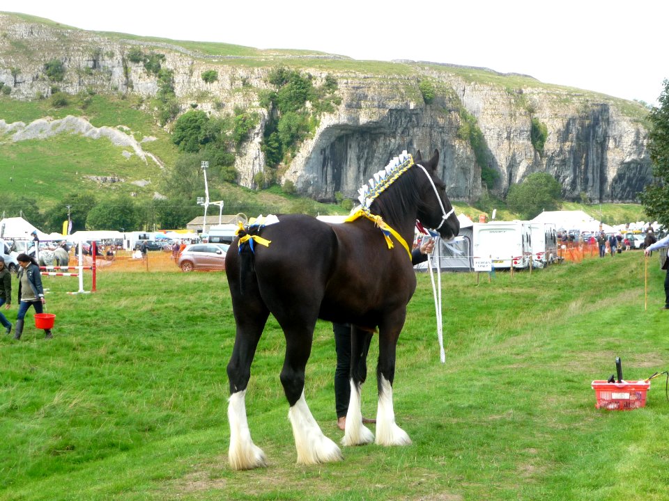 Kilnsey Show 07
