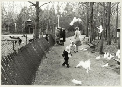 Kinderboerderij 't Molentje in Groenendaal, ziende naar het oosten. NL-HlmNHA 54010412