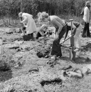 Kinderen, planten, bomen, Bestanddeelnr 251-3919