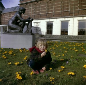 Kinderen, beelden, bloemen, Bestanddeelnr 254-7176
