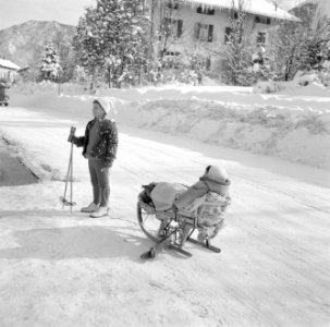 Kinderen in de sneeuw, Bestanddeelnr 254-3780