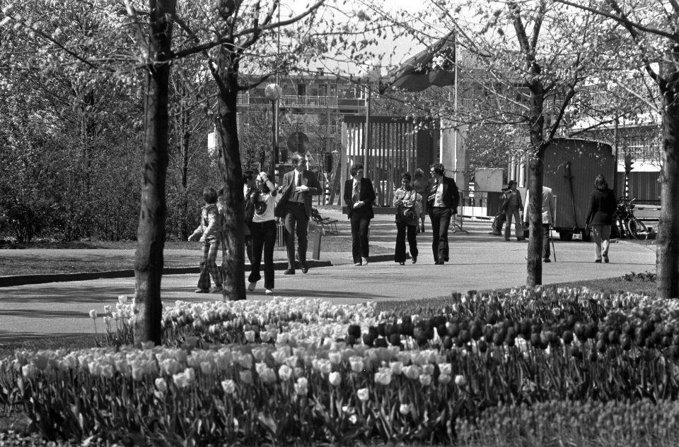 Kinderen bij bloemen in Amstelpark, Bestanddeelnr 927-1283