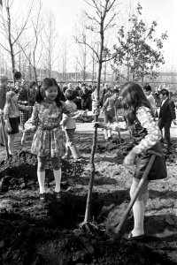 Kinderen van de International School of Amsterdam planten bomen op de Floriade, Bestanddeelnr 925-4766