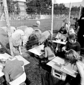 Kinderen tekenen dieren op Museumplein te Amsterdam i.v.m werelddierendag, Bestanddeelnr 926-7274