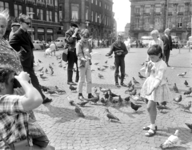 Kinderen voeren duiven op de Dam, Bestanddeelnr 918-0891