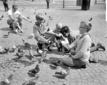 Kinderen voeren duiven op de Dam, Bestanddeelnr 918-0896