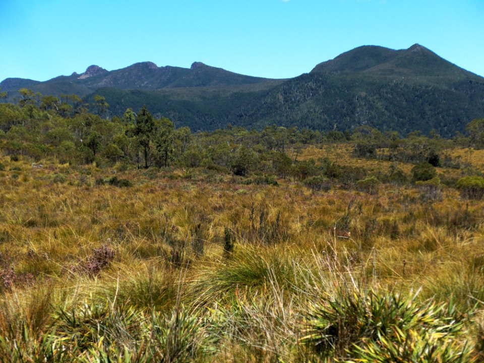 King William Saddle landscape 20171121-018