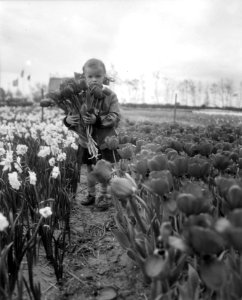 Kinderen in de bollenstreek, Bestanddeelnr 909-5473