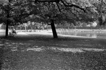 Kinderen en oude mensen in Vondelpark, Amsterdam in herfstzon, laan met bomen, Bestanddeelnr 924-9990
