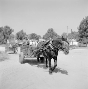 Kibboets Nir Elyahu Kibboetsbewoners in een door een paard getrokken kar, Bestanddeelnr 255-3720