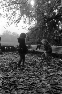Kinderen in hetVondelpark temidden van herfstbladeren, Bestanddeelnr 926-7881
