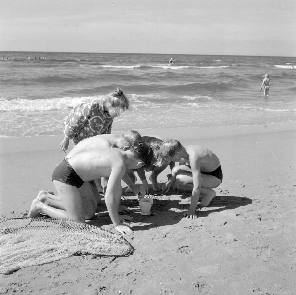 Kinderen aan het schelpenvissen op het strand, Bestanddeelnr 254-4410