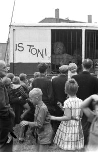 Kinderen bij leeuwenkooi van Boltini, Bestanddeelnr 912-7447