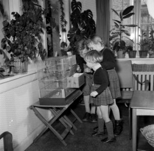 Kinderen bekijken de vogelkooi in de woonkamer, Bestanddeelnr 252-8754