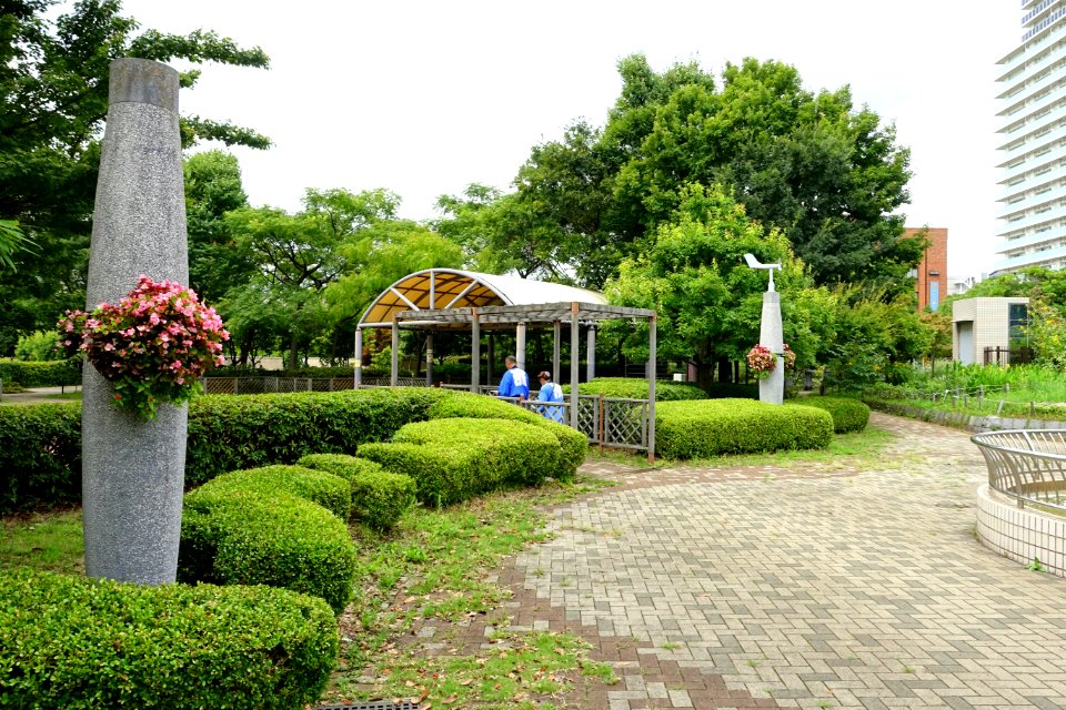 Kiba Park - Koto, Tokyo, Japan - DSC05254