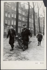 Kinderen, bomen, kerstmis, straatbeelden, Bestanddeelnr 048-0584
