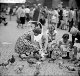 Kinderen brengen vakantie door in stad. Duiven voeren, Bestanddeelnr 912-7941
