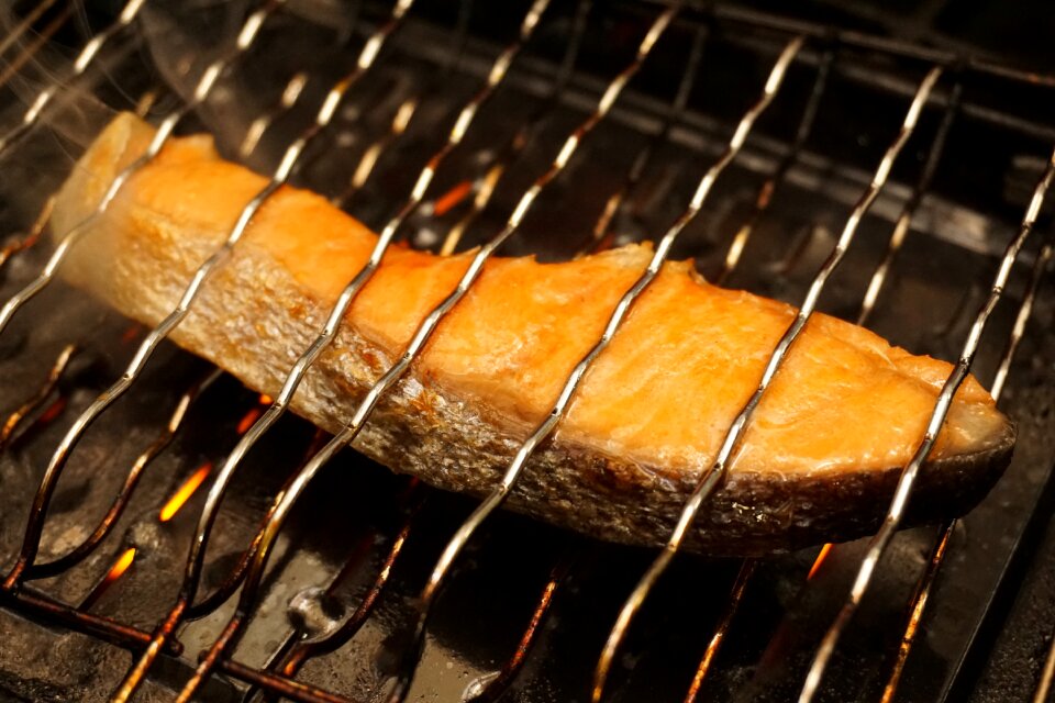 Fish fillet grilled