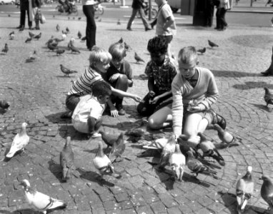 Kinderen voeren duiven op de Dam, Bestanddeelnr 918-0894