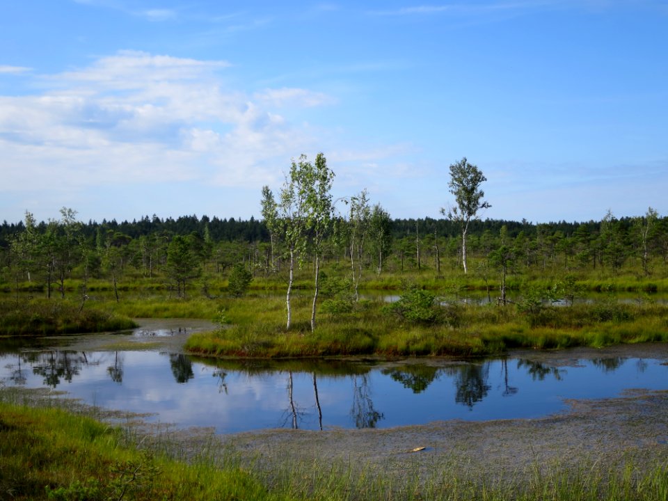 Kemeri Nationalpark 5
