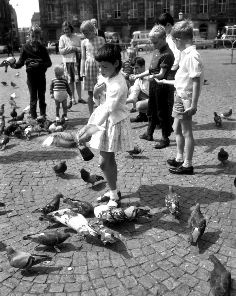 Kinderen voeren duiven op de Dam, Bestanddeelnr 918-0897