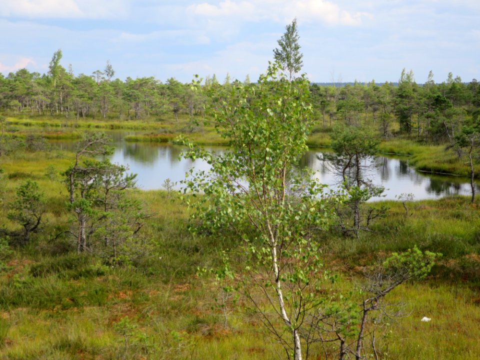 Kemeri Nationalpark 4