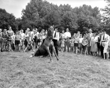 Kinderfeesten in Amsterdamse bos. Demonstratie politiepaarden, Bestanddeelnr 907-9003