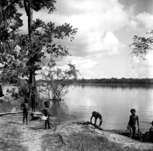 Kinderen aan de oever van de Marowijnerievier bij Langetabbetje in Suriname, Bestanddeelnr 252-6698