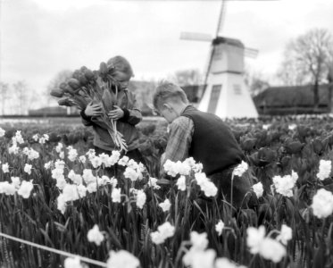 Kinderen in de bollenstreek, Bestanddeelnr 909-5474
