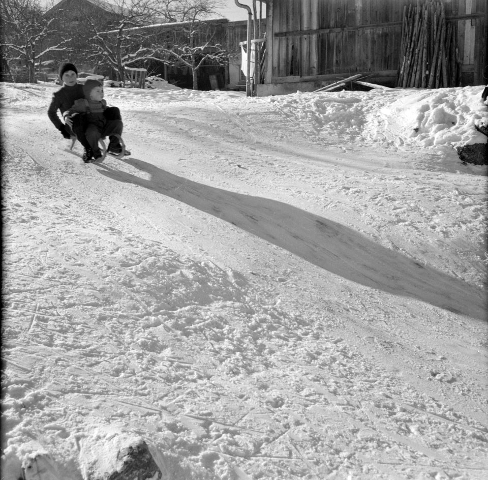 Kinderen spelend met een slede in de sneeuw, Bestanddeelnr 254-4323
