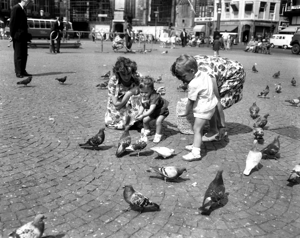 Kinderen voeren duiven op de Dam, Bestanddeelnr 918-0893