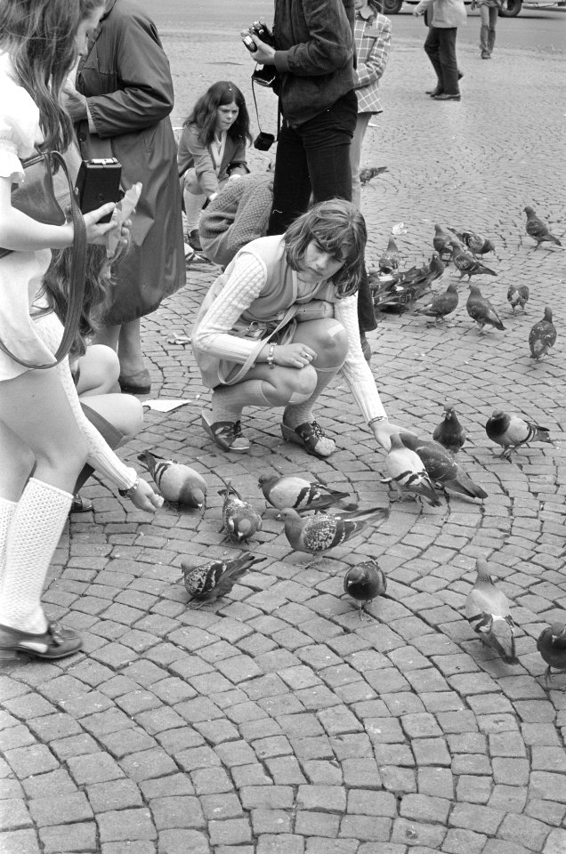 Kinderen voeren duiven, Bestanddeelnr 924-6713