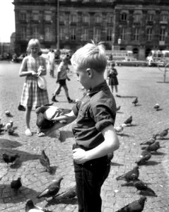 Kinderen voeren duiven op de Dam, Bestanddeelnr 918-0898