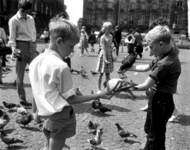 Kinderen voeren duiven op de Dam, Bestanddeelnr 918-0895