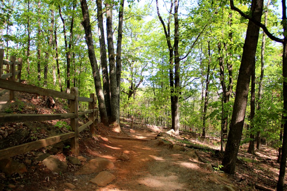 Kennesaw Mountain trail, April 2017