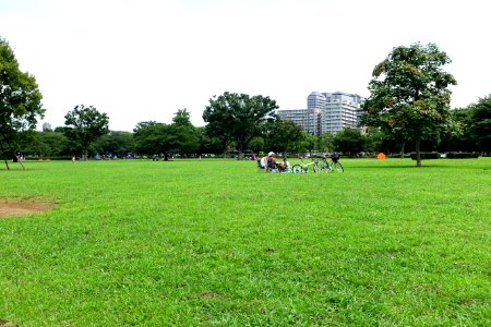 Kiba Park - Koto, Tokyo, Japan - DSC05425 photo
