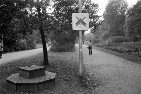 Kinderen en oude mensen in Vondelpark, Amsterdam in herfstzon, Bestanddeelnr 924-9995