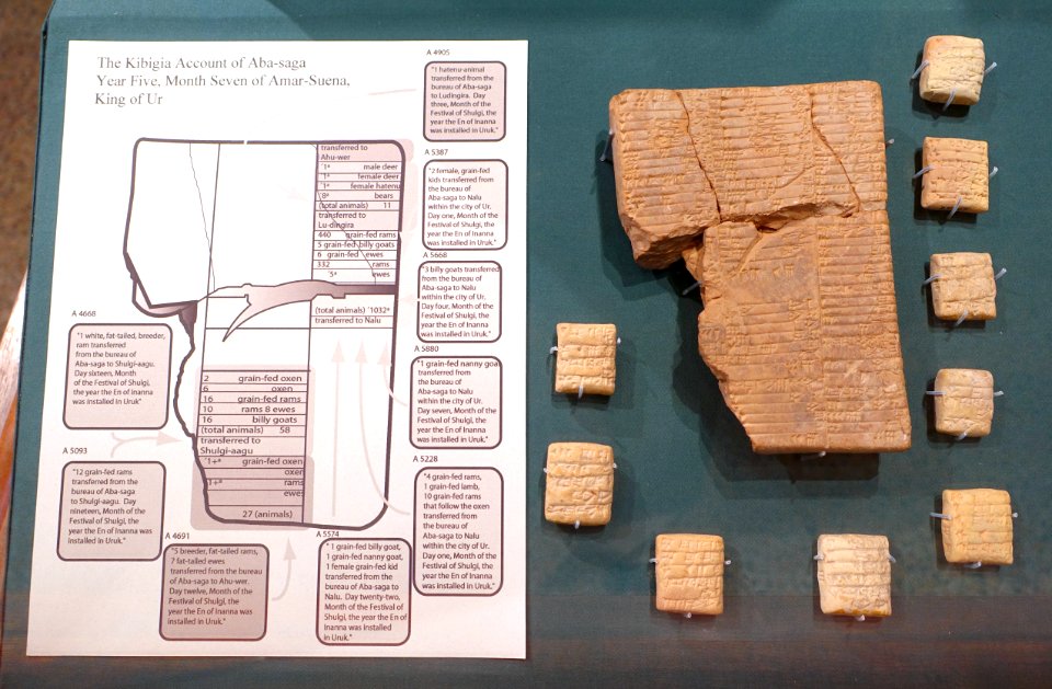 Kibigia account of Aba-saga Year Five, Month Seven of Amar-Suena, King of Ur - Oriental Institute Museum, University of Chicago - DSC07104