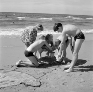 Kinderen aan het schelpenvissen op het strand, Bestanddeelnr 254-4409