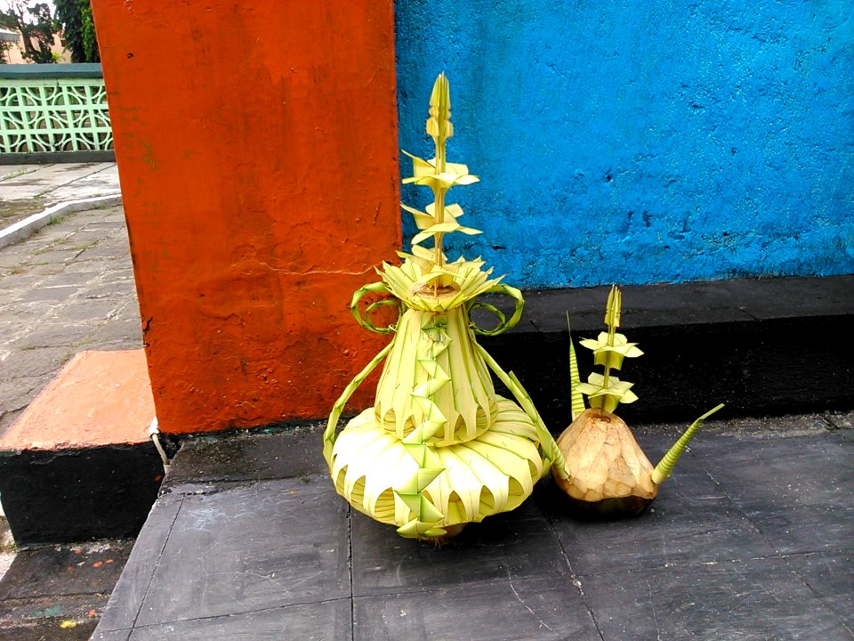 Kembar mayang Pj DSC 0417